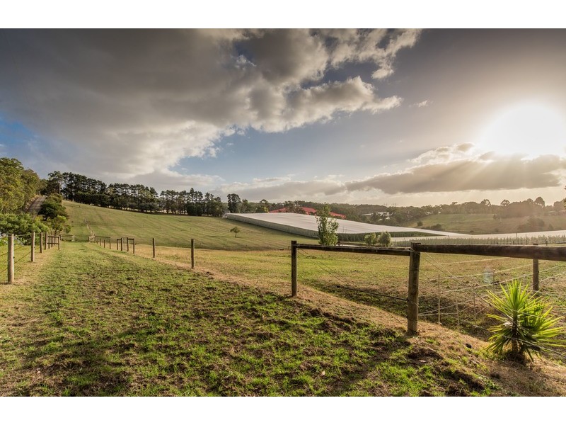 19 Darling Road, Gruyere VIC 3770