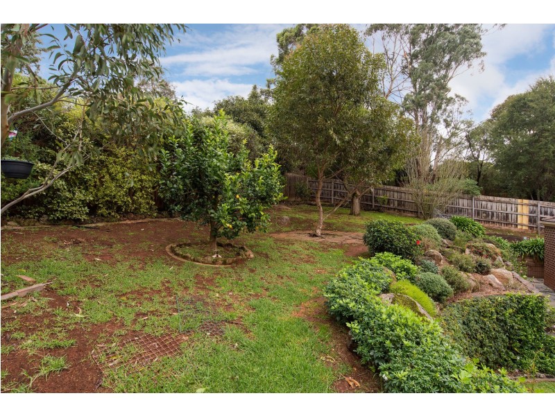 11 Hayride Lane, Chirnside Park VIC 3116