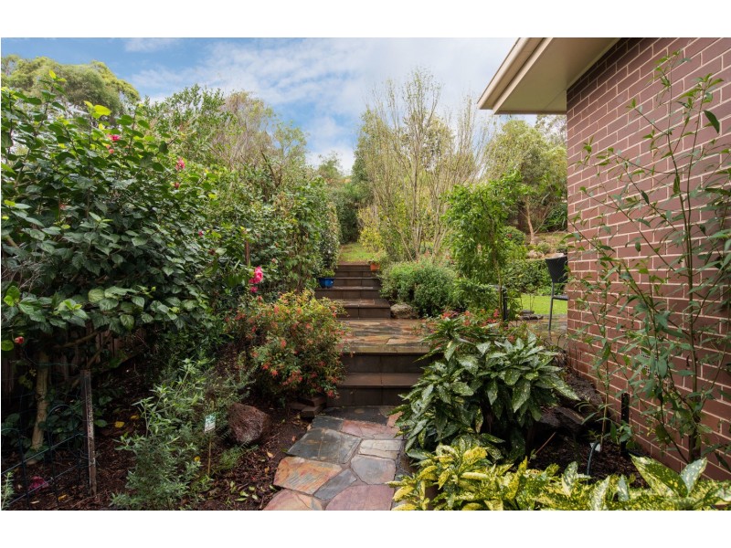 11 Hayride Lane, Chirnside Park VIC 3116