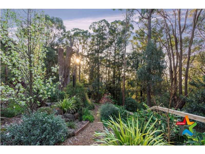 84 Inverness Road, Kalorama VIC 3766