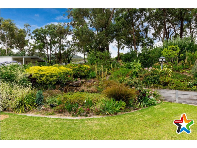 15 Harrison Road, Montrose VIC 3765