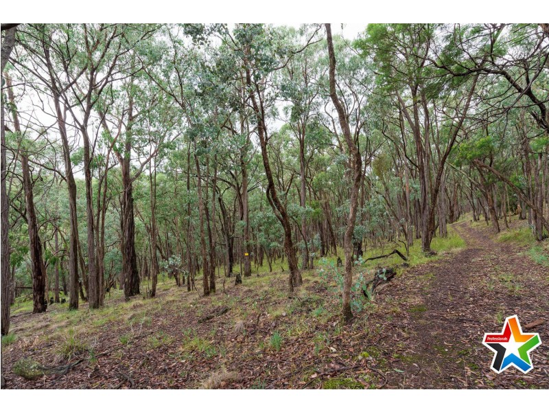 118 Wallace Road, Christmas Hills VIC 3775