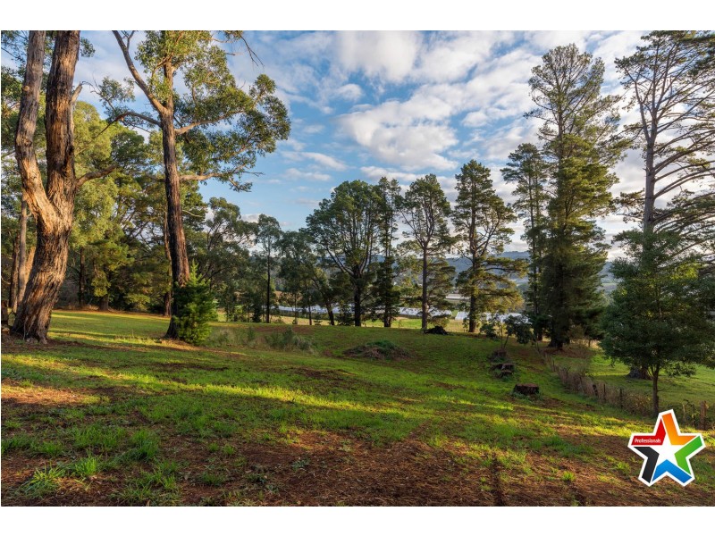 20 Edward Road, Wandin North VIC 3139