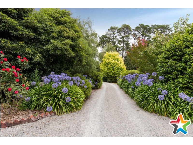 22 Montrose Road, Montrose VIC 3765