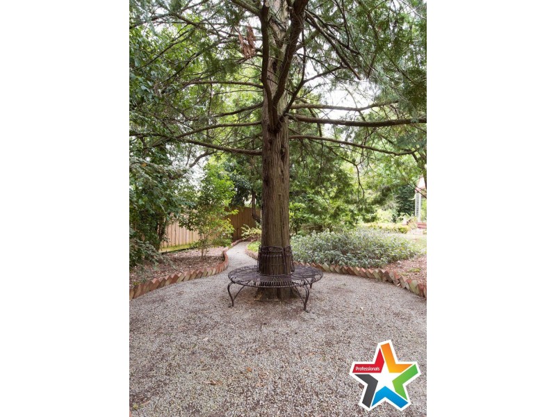 22 Montrose Road, Montrose VIC 3765