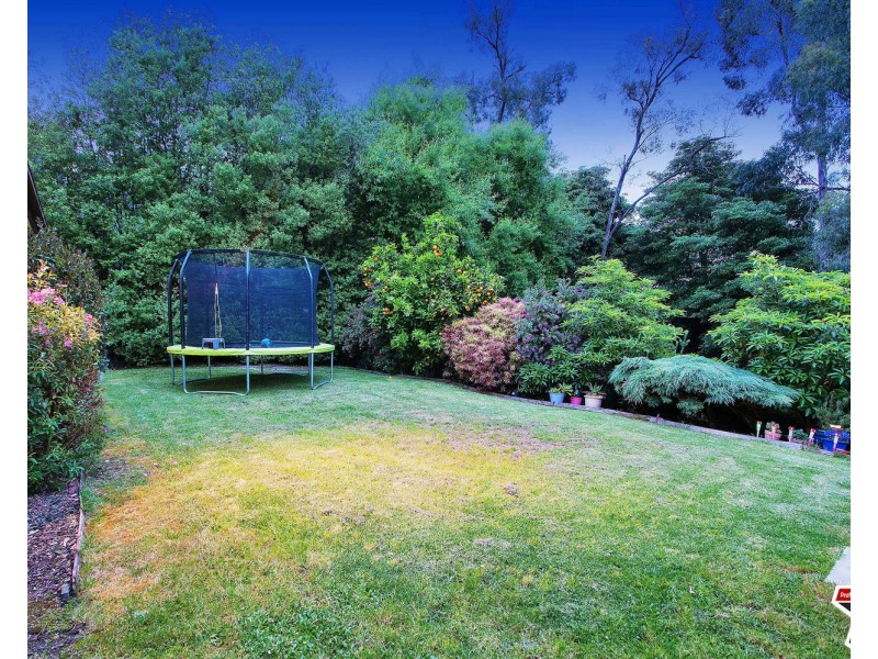 18 Currawong Road, Montrose VIC 3765