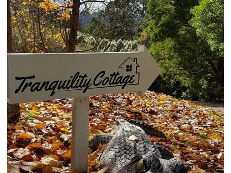 12b Eileen Avenue, Kalorama VIC 3766