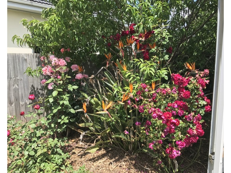 45  John Street, Moe VIC 3825