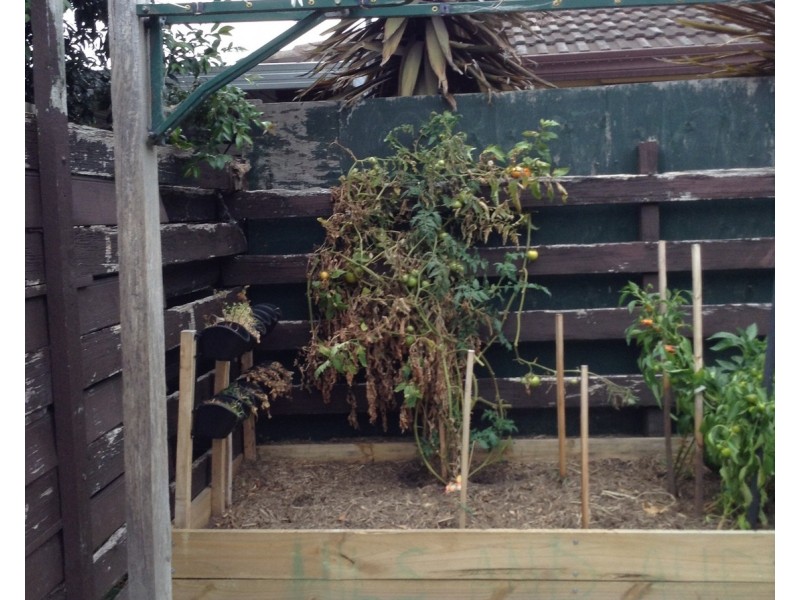 1/30 Bridle Road, Morwell VIC 3840