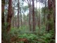 140 Explorers Track, Yinnar South VIC 3869