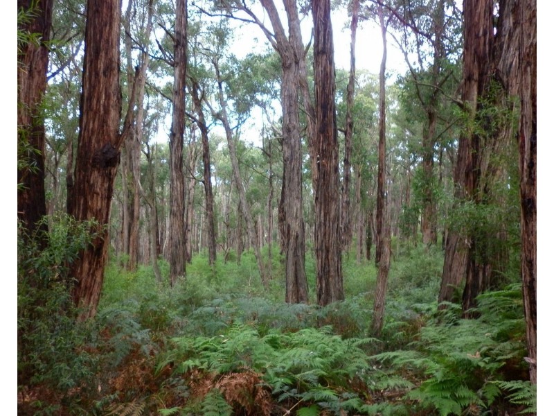140 Explorers Track, Yinnar South VIC 3869