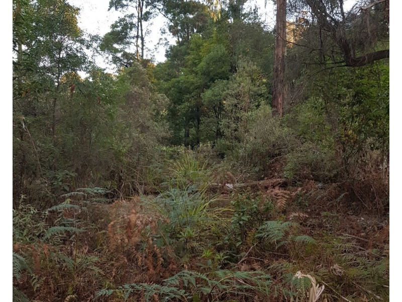 140 Explorers Track, Yinnar South VIC 3869
