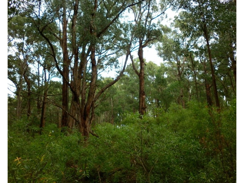 140 Explorers Track, Yinnar South VIC 3869