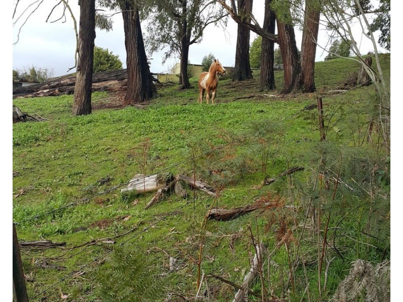 140 Explorers Track, Yinnar South VIC 3869