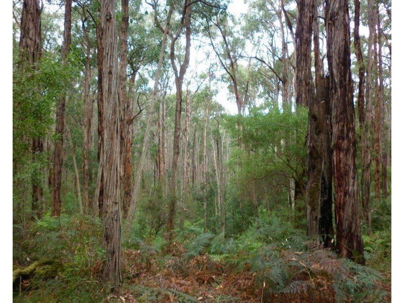 140 Explorers Track, Yinnar South VIC 3869