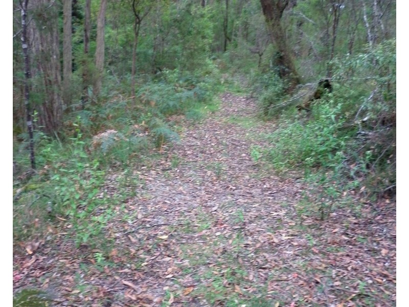 140 Explorers Track, Yinnar South VIC 3869