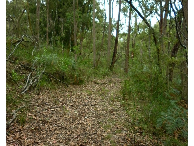 140 Explorers Track, Yinnar South VIC 3869