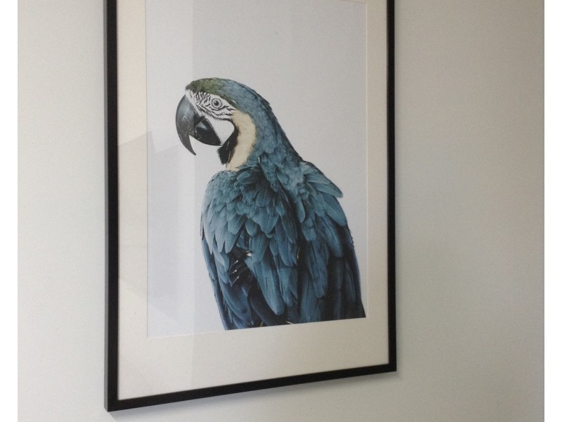 2/20 Tarwin Street, Morwell VIC 3840