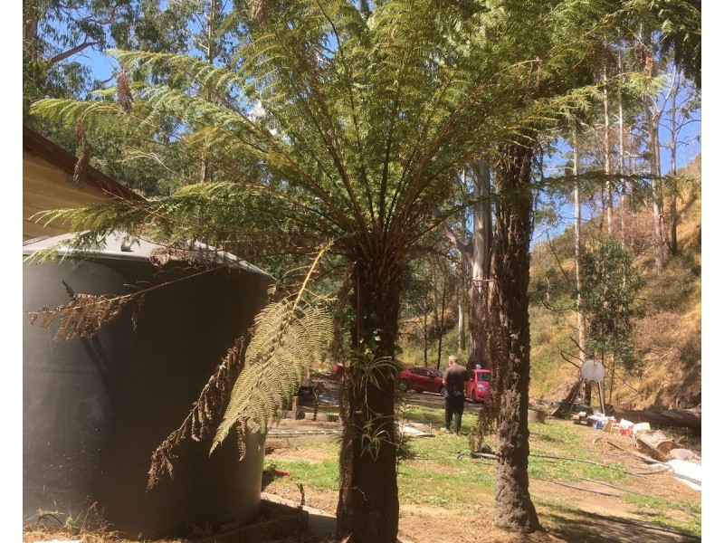 520 Upper Middle Creek Road, Yinnar South VIC 3869