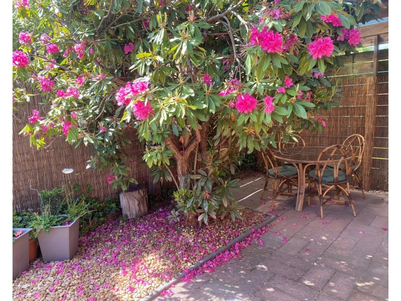 42 Dell Circuit, Morwell VIC 3840