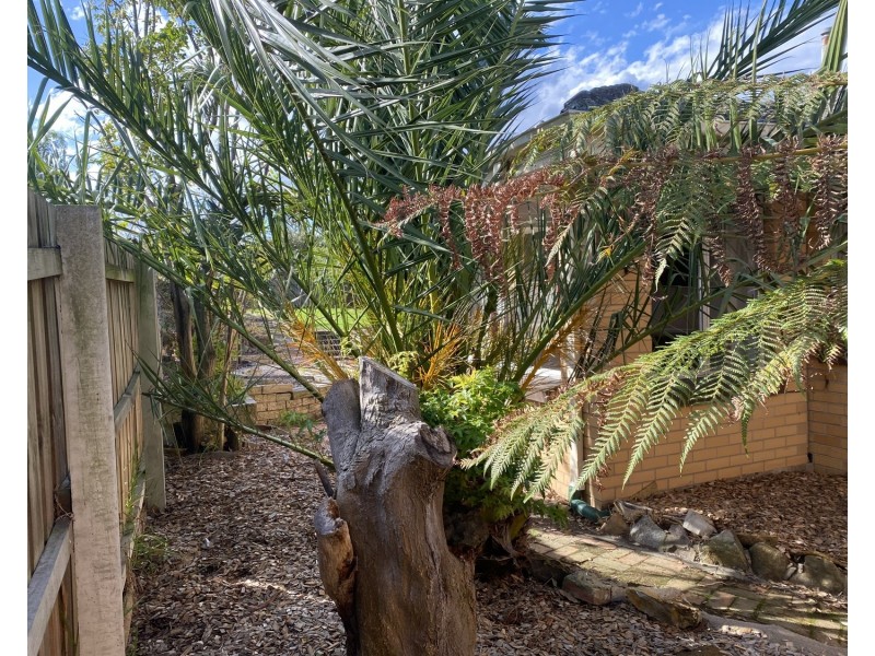 15 Ann Street, Morwell VIC 3840