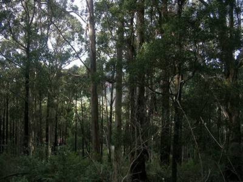 1 Jumbuk Road, Yinnar VIC 3869