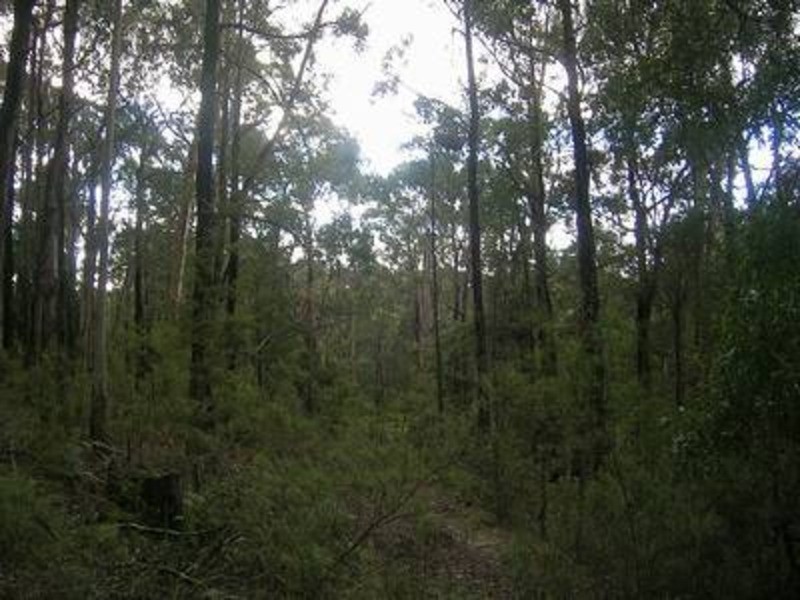 1 Jumbuk Road, Yinnar VIC 3869