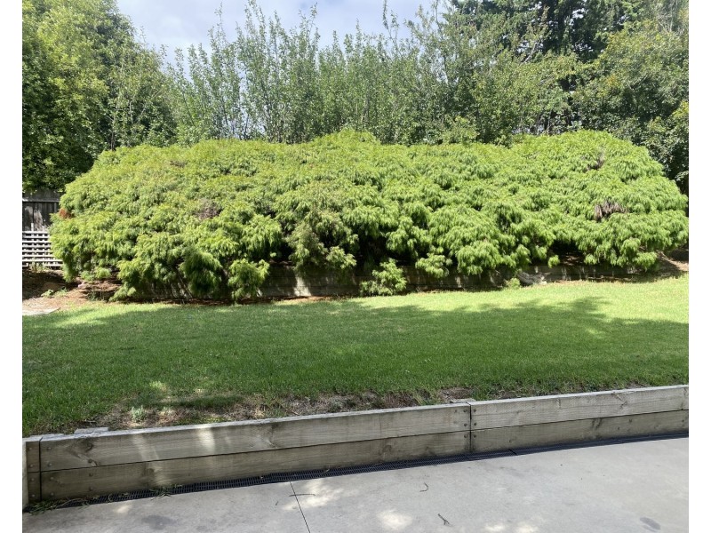 7-9 Poplar Avenue, Traralgon VIC 3844