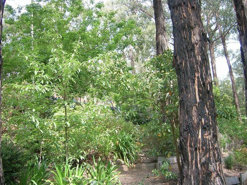 30 Tebb Terrace, Jeeralang VIC 3840