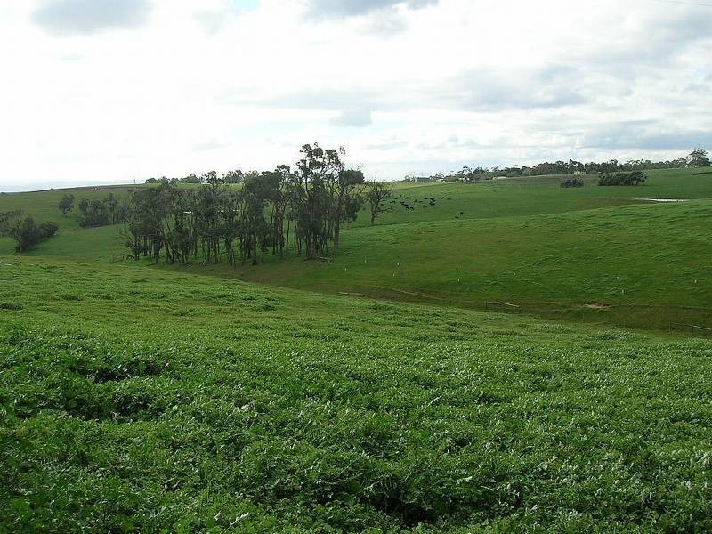 LOTS Hazelwood Ridge, Hazelwood North VIC 3840