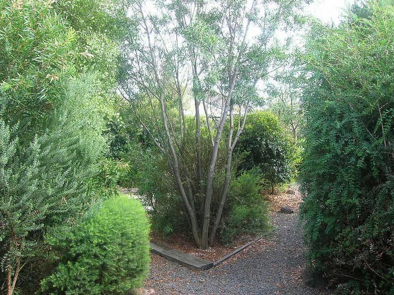53 Kurt Street, Morwell VIC 3840