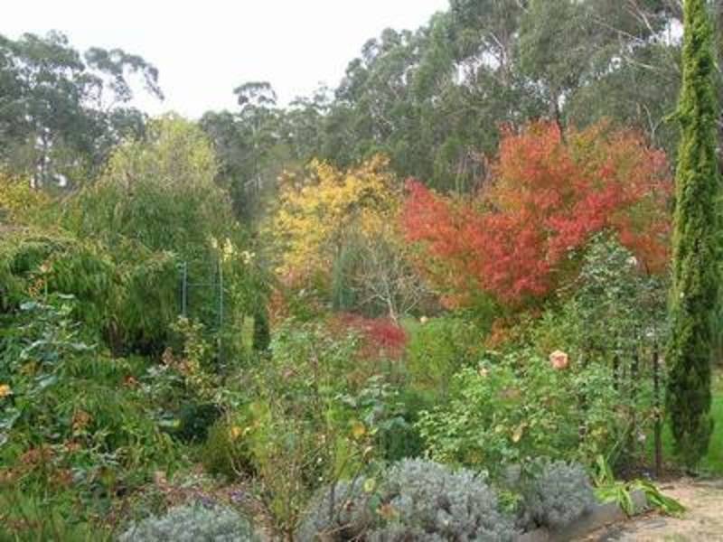 2370 Monash Way, Yinnar VIC 3869