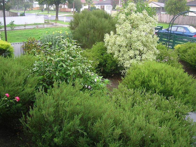 111 Mary Street, Morwell VIC 3840