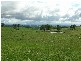 LOTS 1 & 2 Thomson Road, Hazelwood North VIC 3840