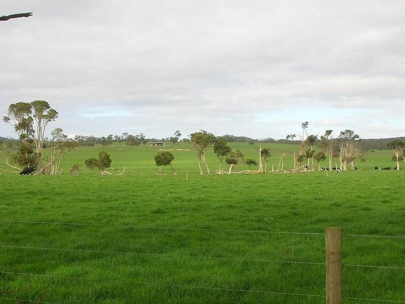 270 Speargrass Road, Yinnar VIC 3869