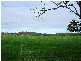 270 Speargrass Road, Yinnar VIC 3869