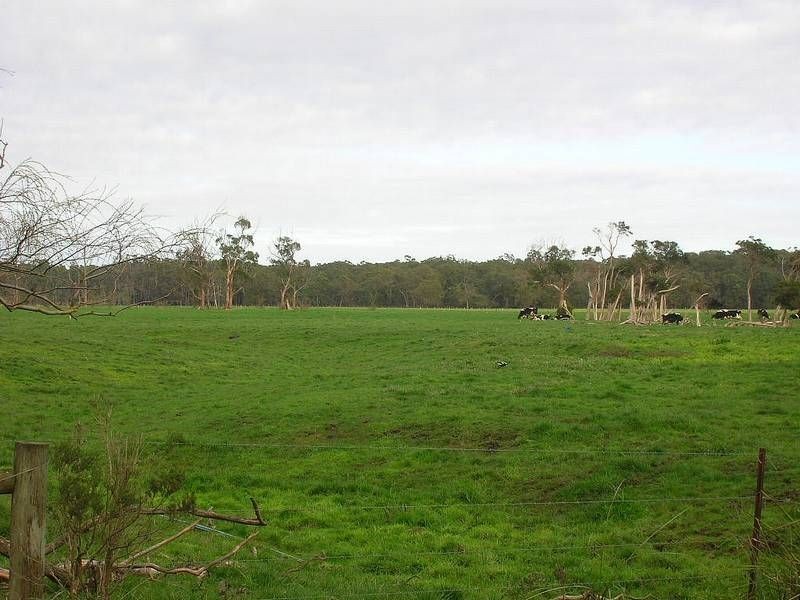 270 Speargrass Road, Yinnar VIC 3869