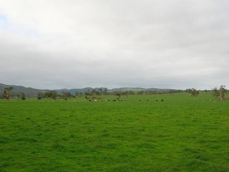 270 Speargrass Road, Yinnar VIC 3869