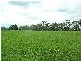 Lot 3 Nuttals Road, Yinnar VIC 3869