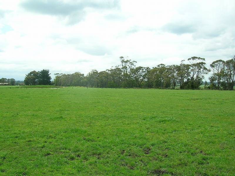 Lot 3 Nuttals Road, Yinnar VIC 3869