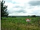 Lot 3 Nuttals Road, Yinnar VIC 3869