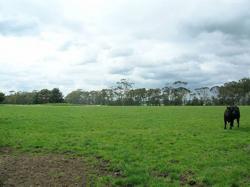 Lot 3 Nuttals Road, Yinnar VIC 3869