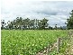 Lot 3 Nuttals Road, Yinnar VIC 3869