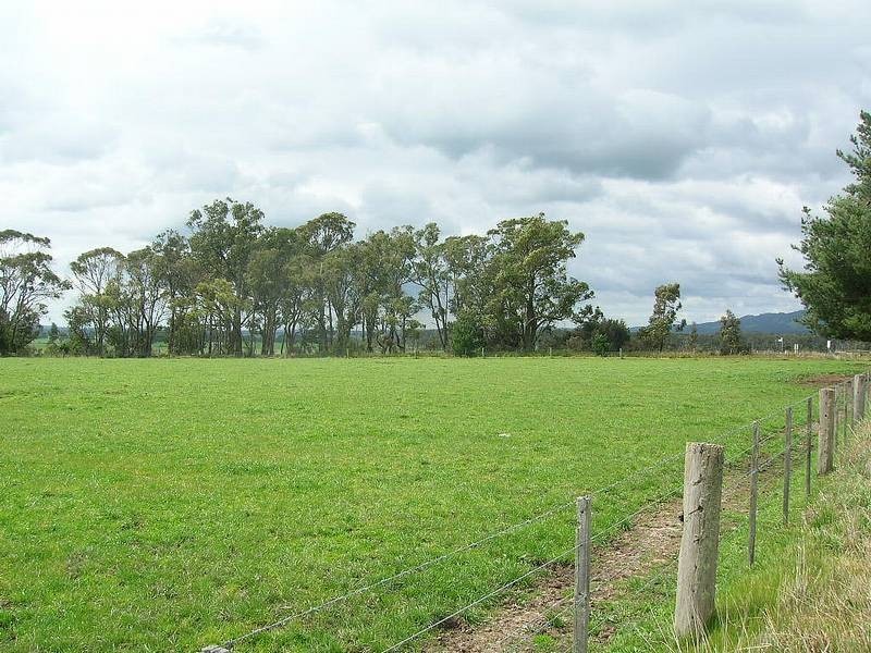 Lot 3 Nuttals Road, Yinnar VIC 3869