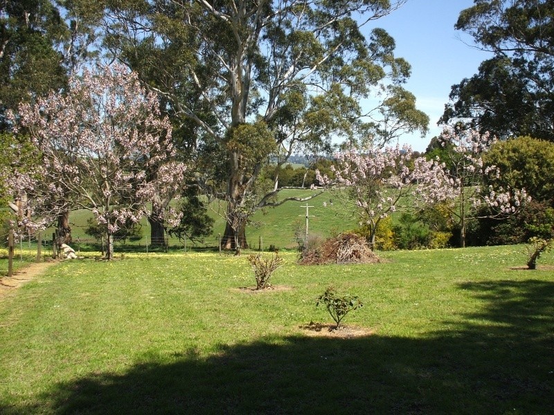 32 Giles Street, Mirboo North VIC 3871