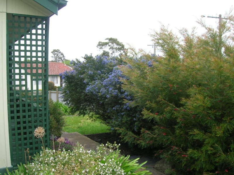 2 Taylor Crescent, Traralgon VIC 3844