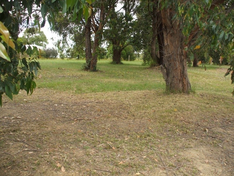 48 Wells Road, Mirboo North VIC 3871
