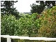 910 Clear Creek Road, Mirboo VIC 3871