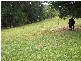 910 Clear Creek Road, Mirboo VIC 3871