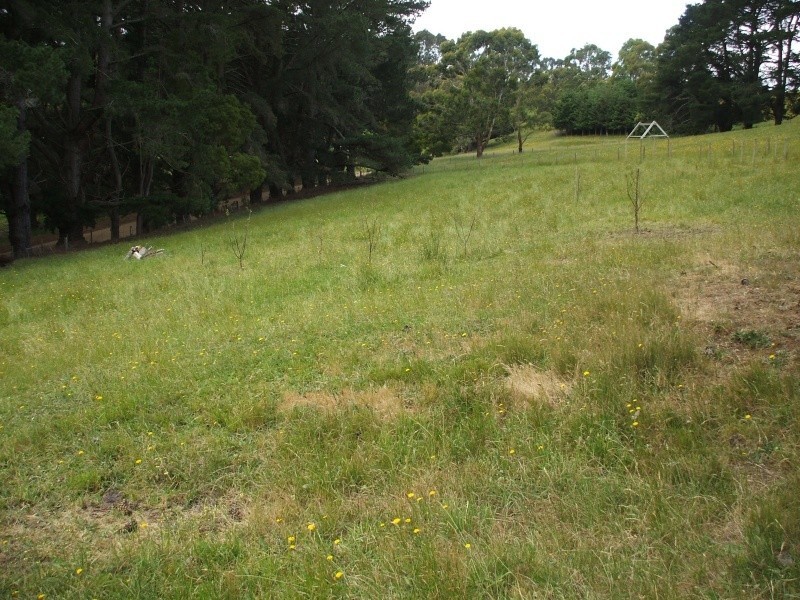 910 Clear Creek Road, Mirboo VIC 3871